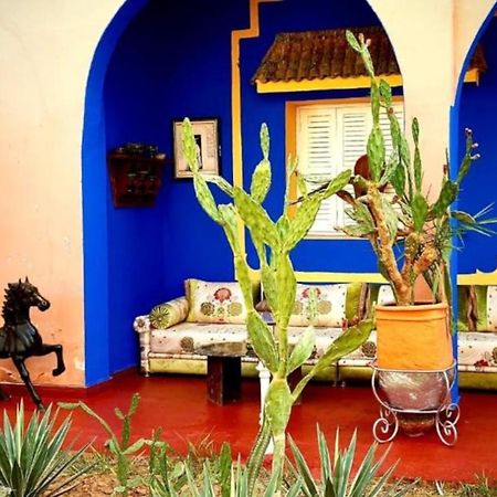 Riad Jasmine Sud Zagora Luaran gambar